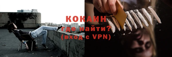 твердый Аркадак