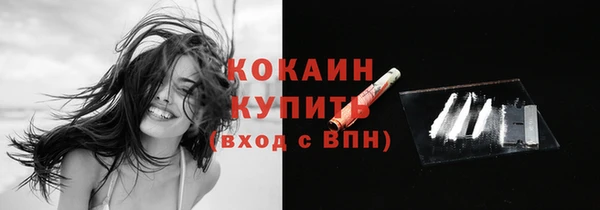 твердый Аркадак