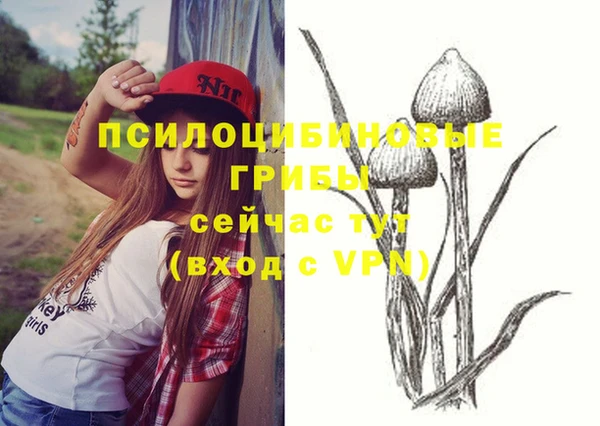 спиды Армянск