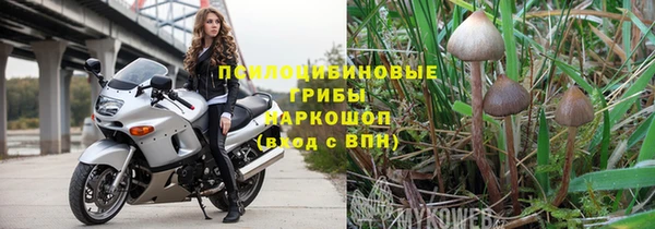 твердый Аркадак