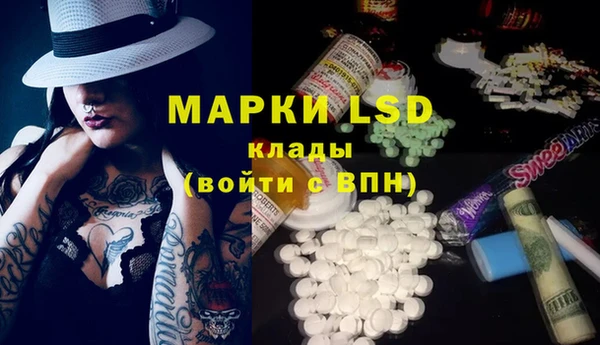 твердый Аркадак