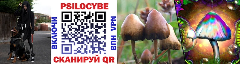 Псилоцибиновые грибы GOLDEN TEACHER Щигры